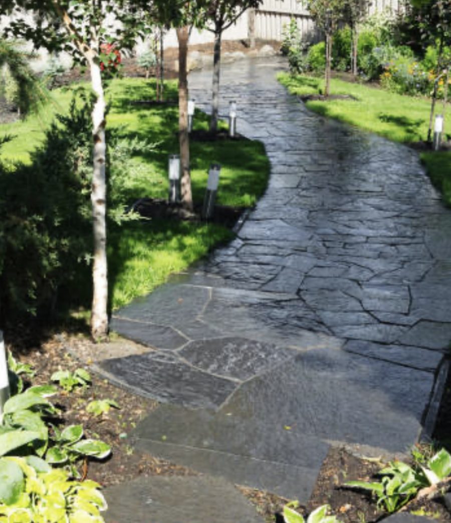 F9143E72-D18D-4372-91BD-1D433B80C0DE