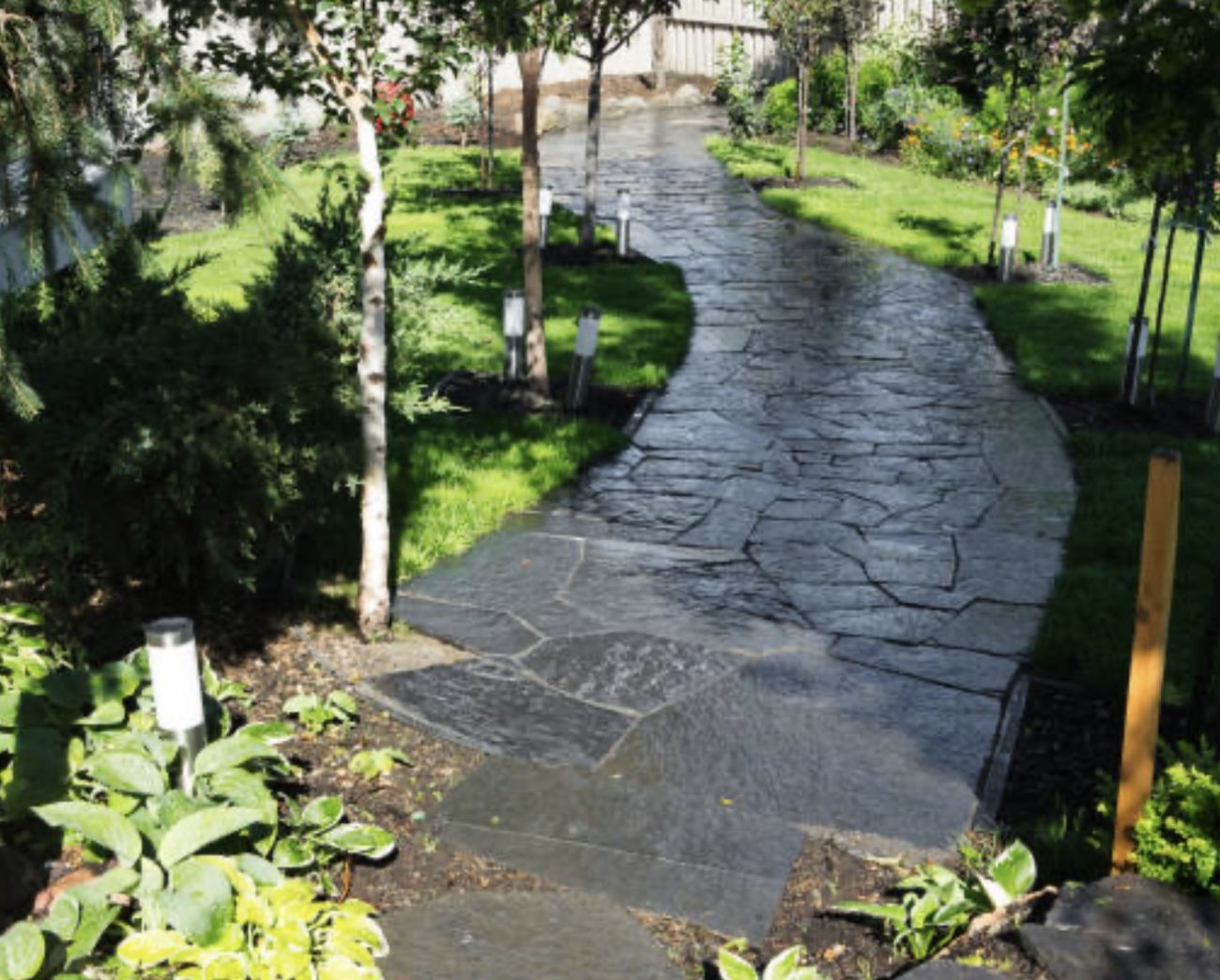 F9143E72-D18D-4372-91BD-1D433B80C0DE